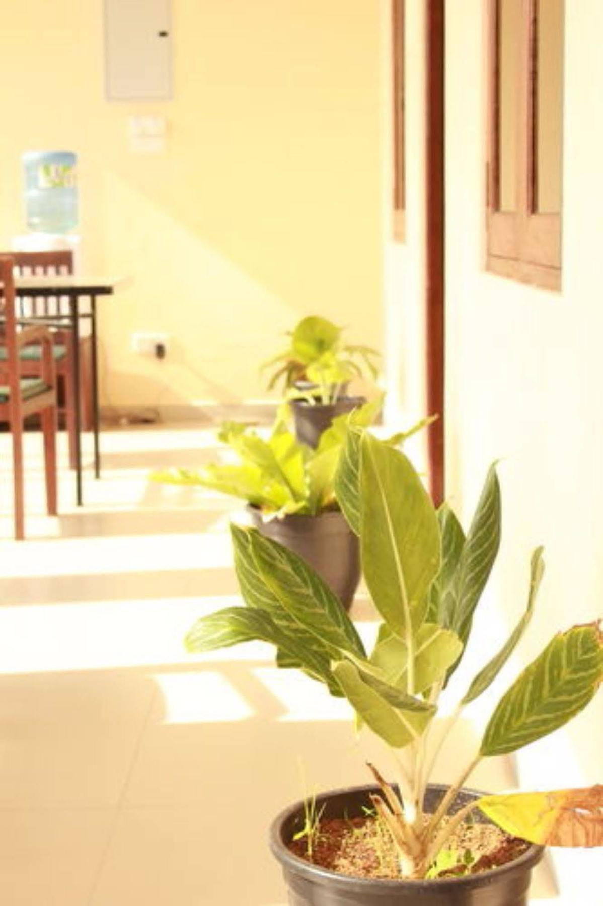 Pearl City Hotel Tissamaharama Εξωτερικό φωτογραφία